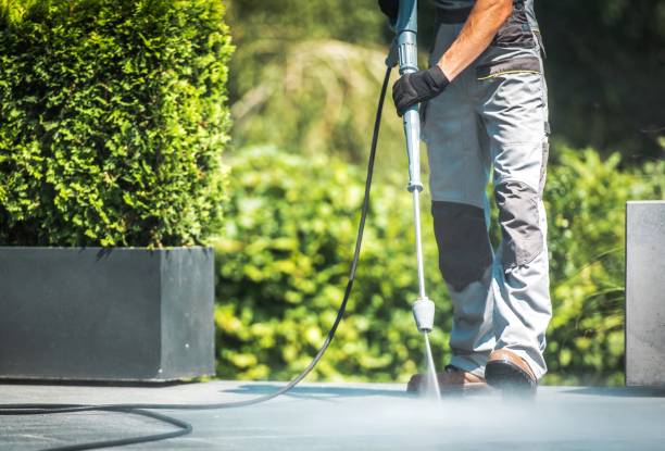 Best Gutter Cleaning  in Oakwood Hls, IL