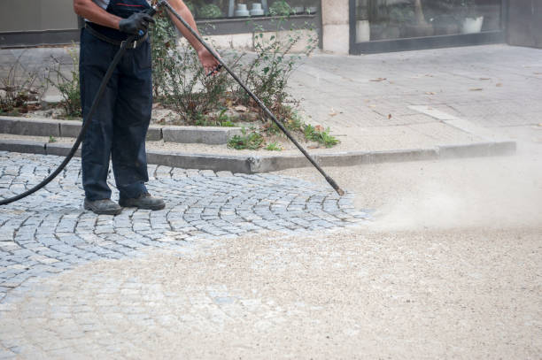 Best Pre-Holiday Cleaning  in Oakwood Hls, IL