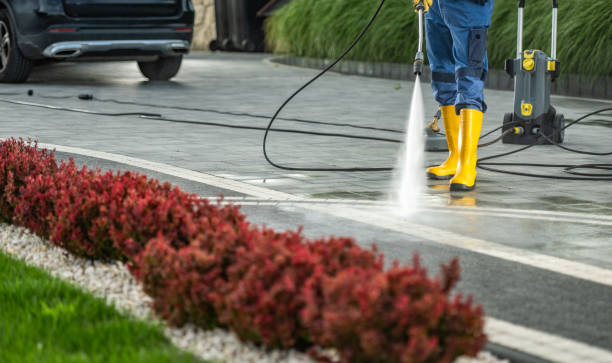 Boat and Dock Cleaning in Oakwood Hills, IL