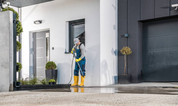 Best Building Exterior Washing  in Oakwood Hls, IL