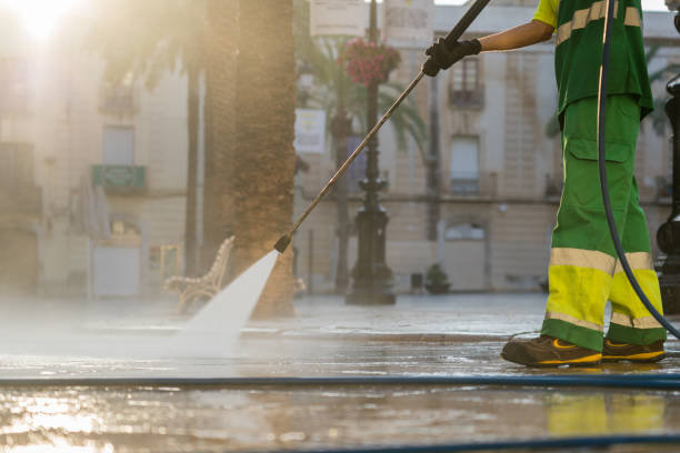 Best Driveway Pressure Washing  in Oakwood Hls, IL